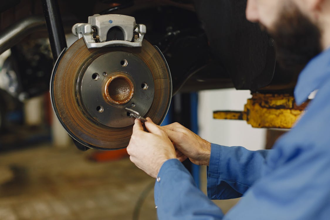 Rear Brake Disc